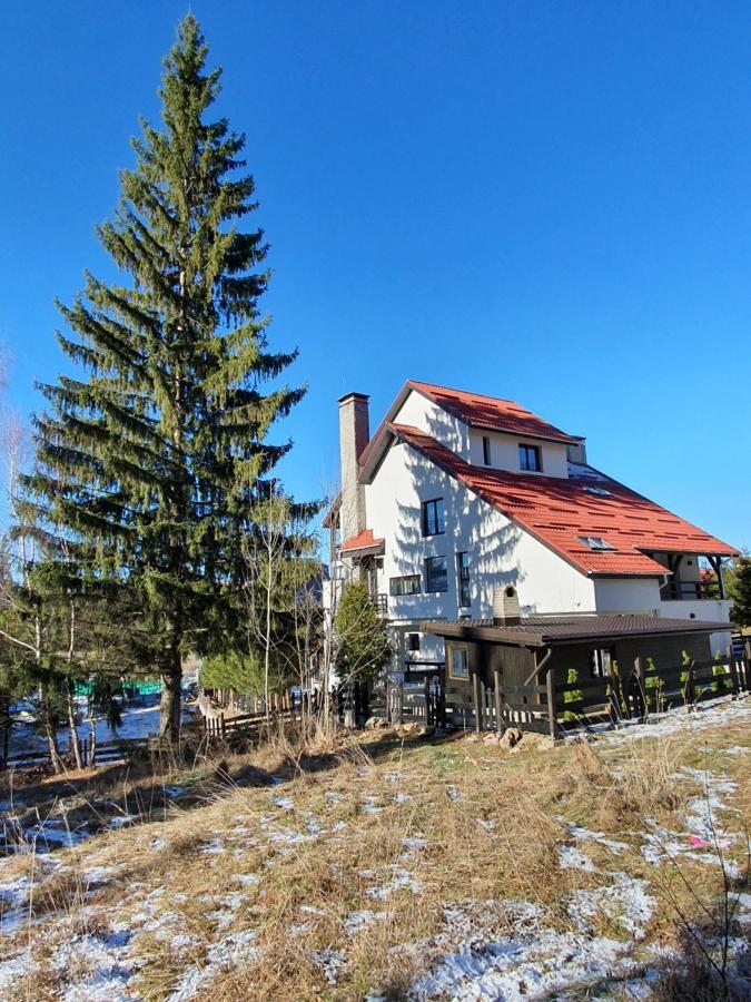 Vila Berlin Hotel Poiana Brasov Esterno foto
